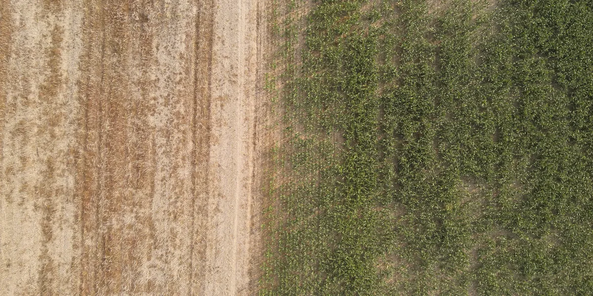 Orthophoto einer landwirtschaftlichen Fläche mit eingezeichneter Parzellengrenze